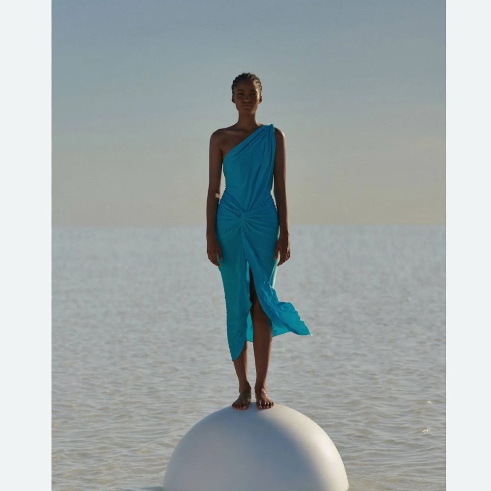 NWT Baobab Miamar Dress